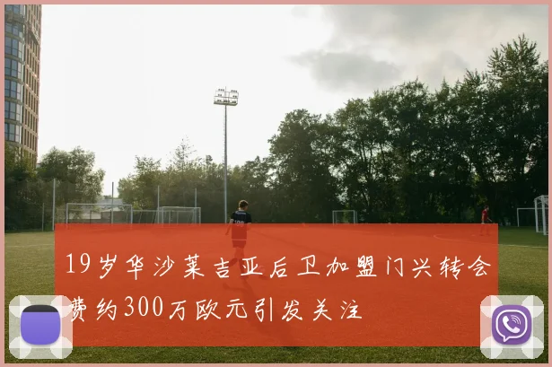 19岁华沙莱吉亚后卫加盟门兴转会费约300万欧元引发关注