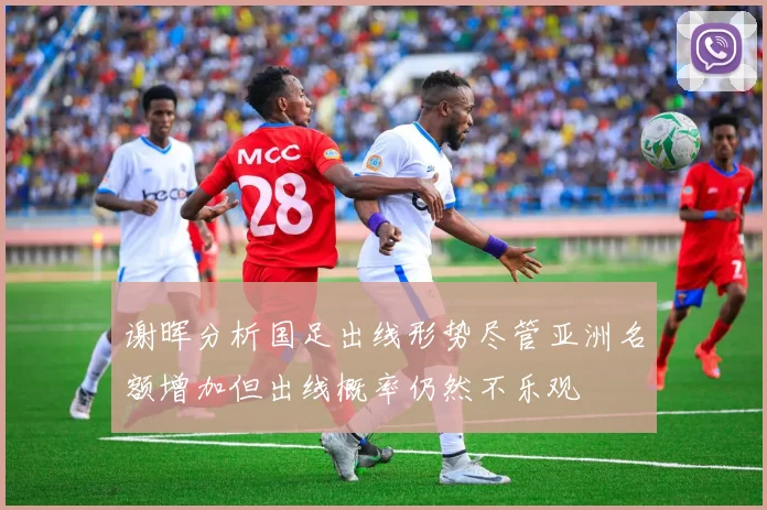 谢晖分析国足出线形势尽管亚洲名额增加但出线概率仍然不乐观